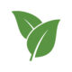 leaf icon